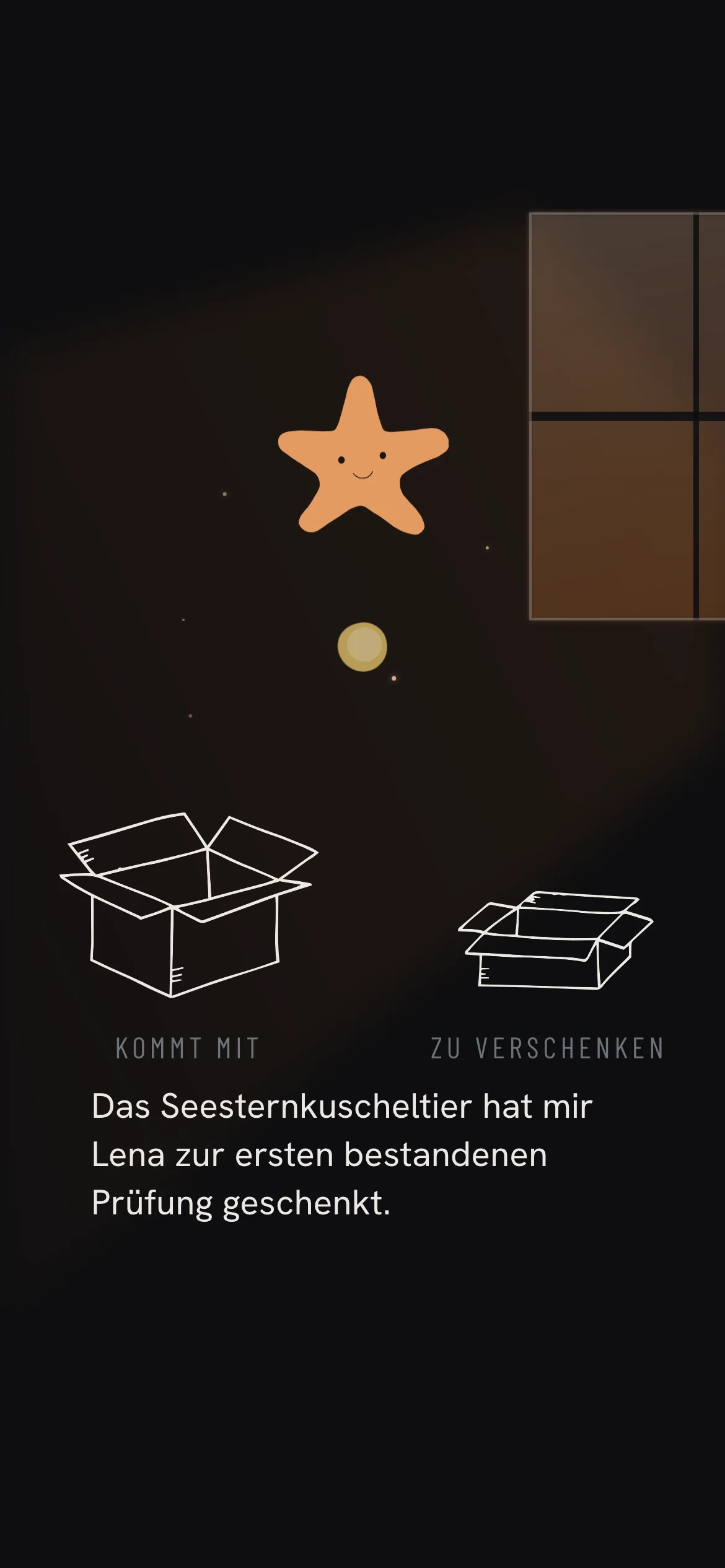 Der heutige Stand: das Seesternkuscheltier schwebt im Lichtkegel &uuml;ber den zwei Kartons, dazu Fines Zeile &bdquo;Das Seesternkuscheltier hat mir Lena zur ersten bestandenen Pr&uuml;fung geschenkt.&ldquo;