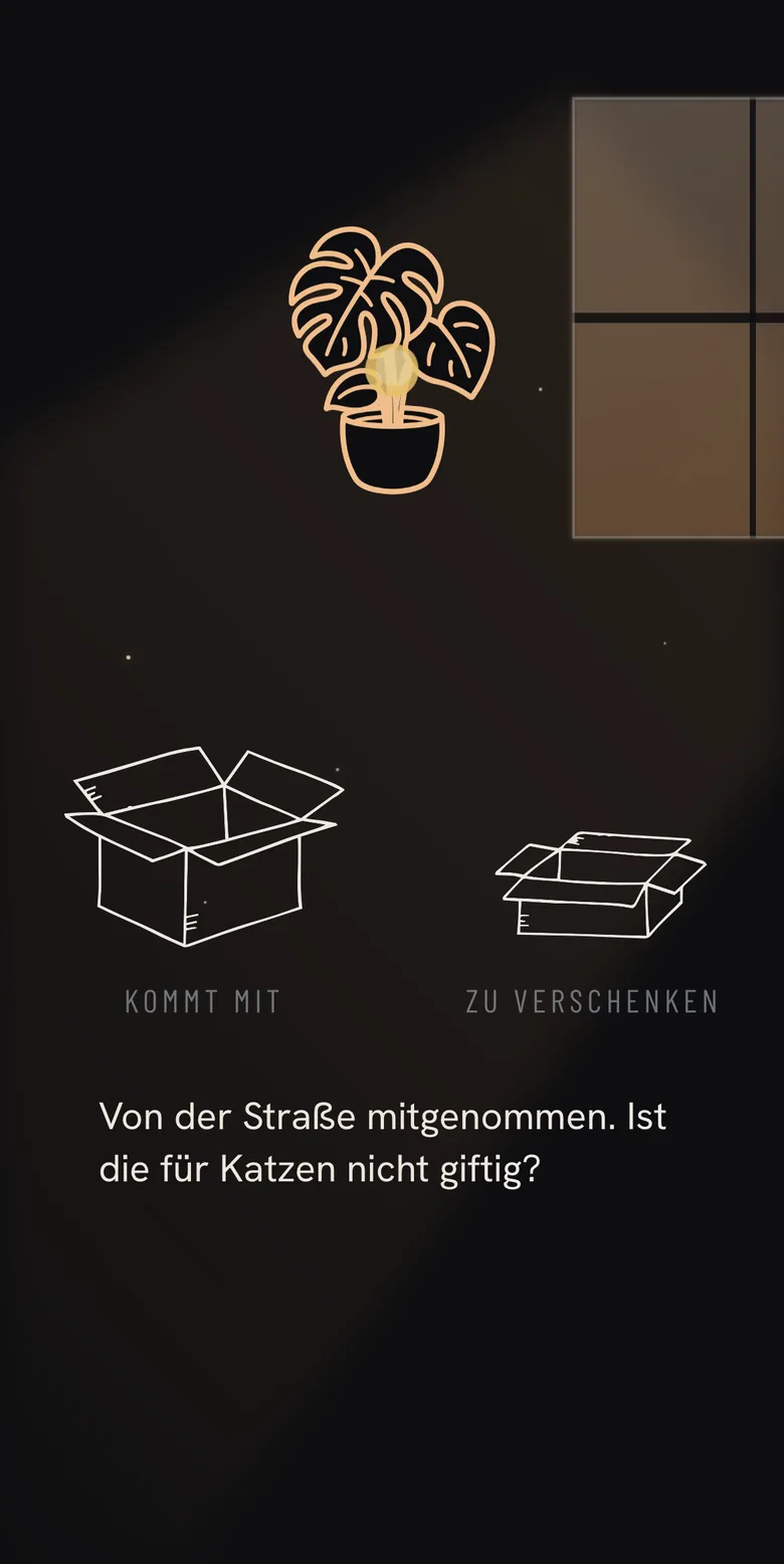 Eine Monstera im Lichtkegel, darunter die zwei Kartons &bdquo;Kommt mit&ldquo; und &bdquo;Zu verschenken&ldquo; und die Zeile &bdquo;Von der Stra&szlig;e mitgenommen. Ist die f&uuml;r Katzen nicht giftig?&ldquo;